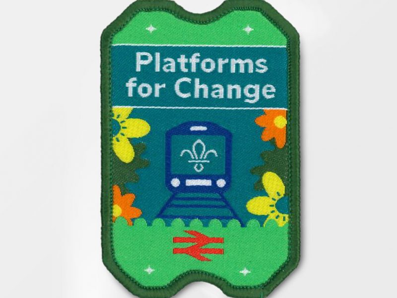 113043-platforms-for-change-badge
